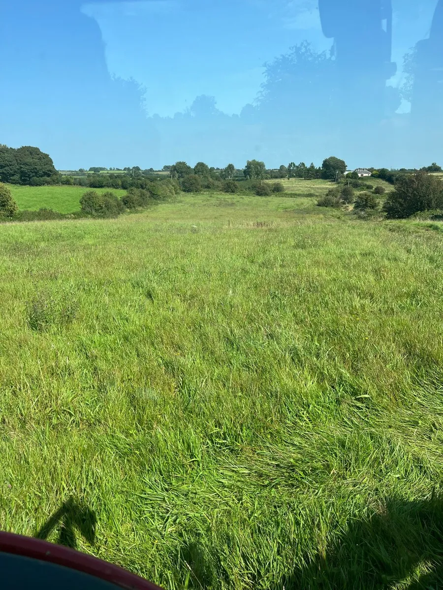 Round bales of hay - Image 3