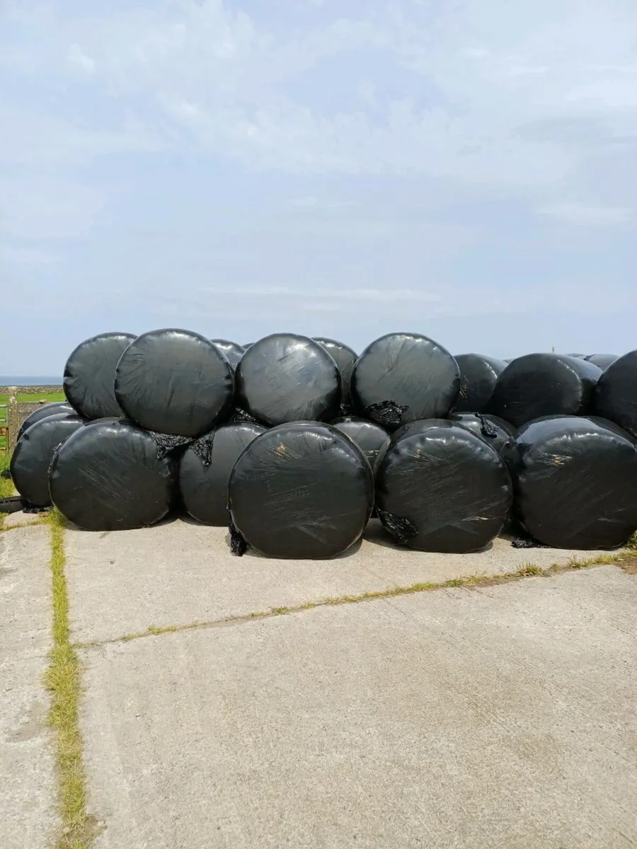 Hay and Haylage - Image 2