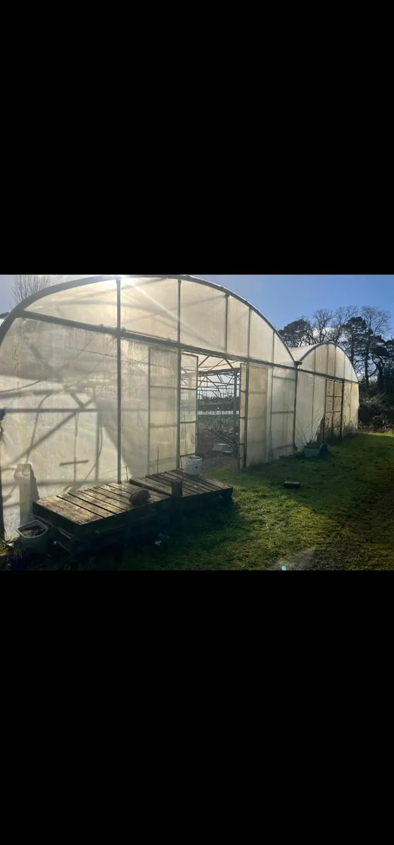 Poly Tunnel Frame - Image 1