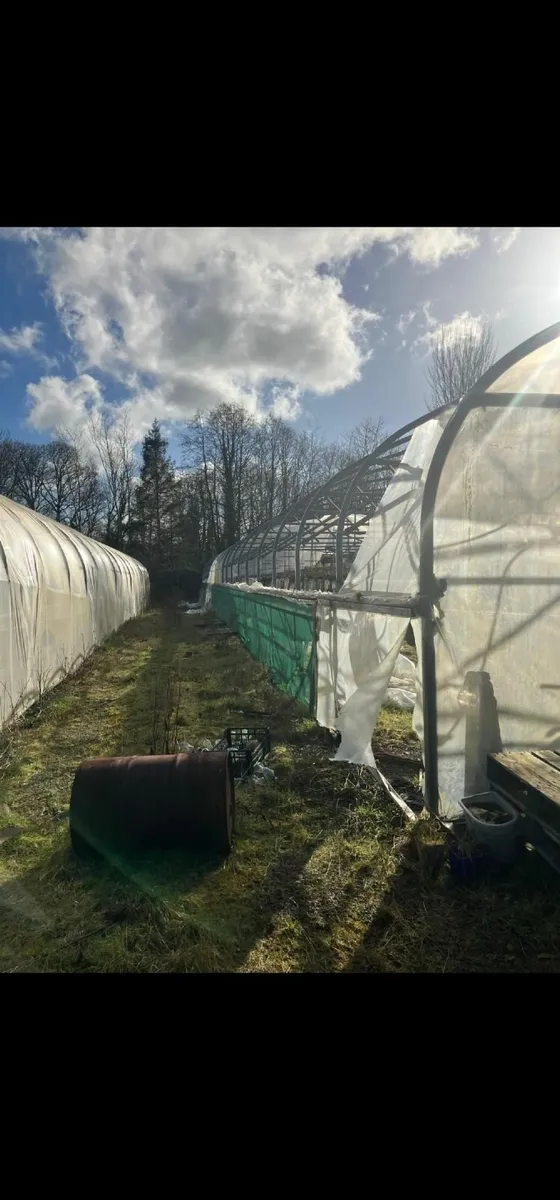 Poly Tunnel Frame - Image 3