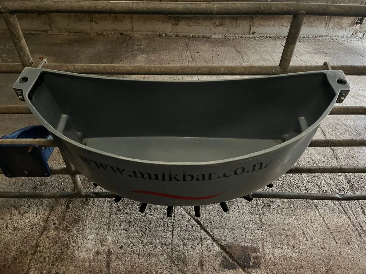 Calf milk feeder - Image 4
