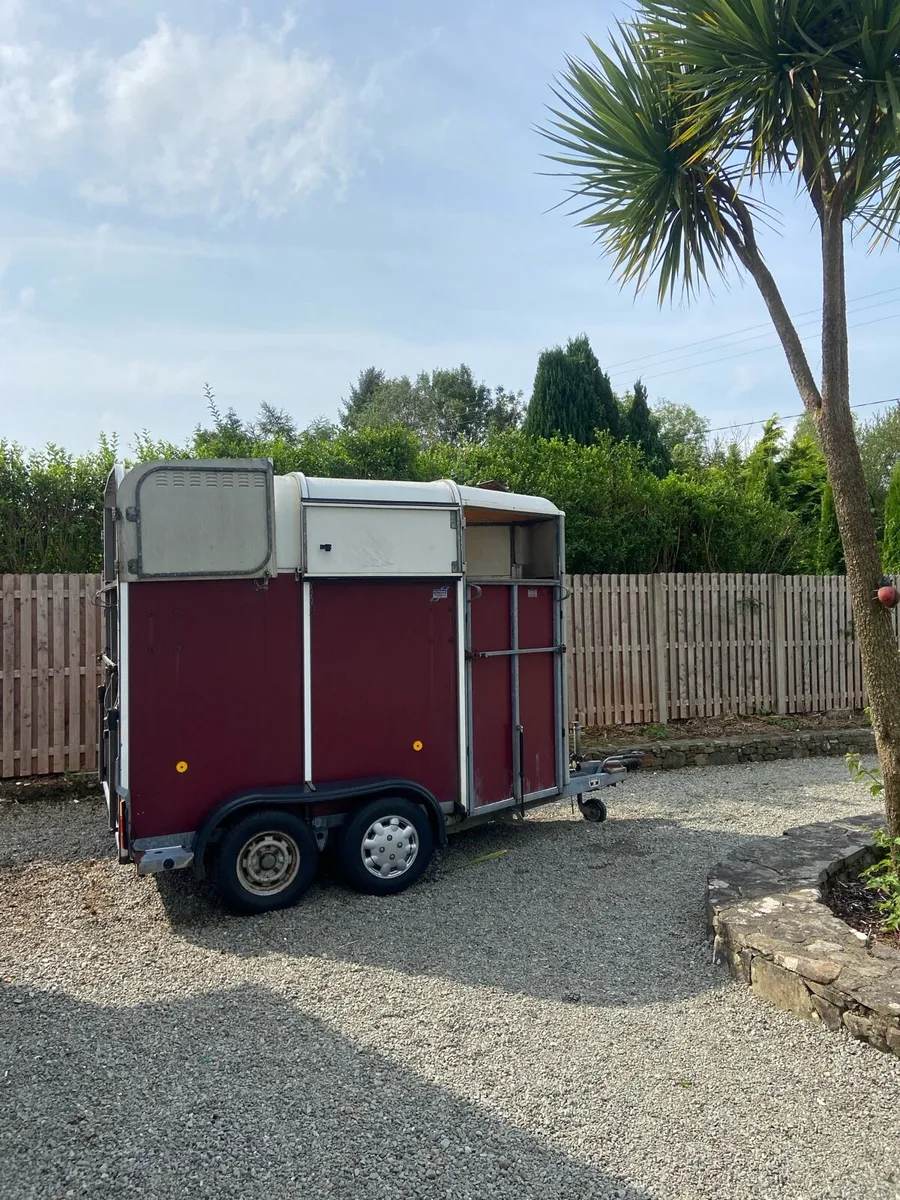 Ifor Williams 505 Horse Trailer - Image 2