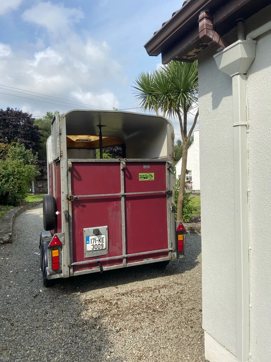 Ifor Williams 505 Horse Trailer - Image 3