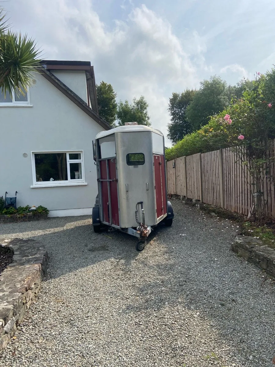 Ifor Williams 505 Horse Trailer - Image 4