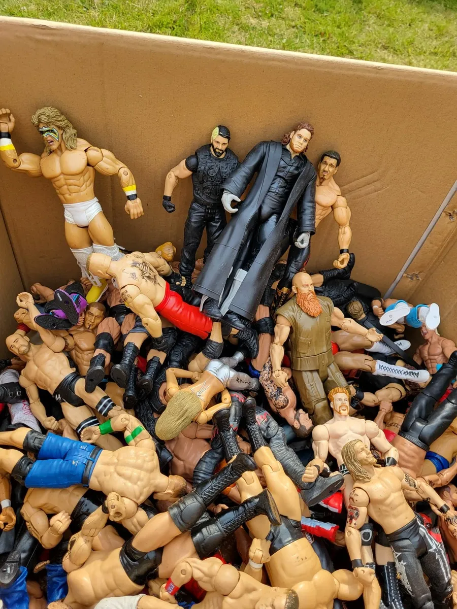 100+  Wrestling action figures plus rings and cage