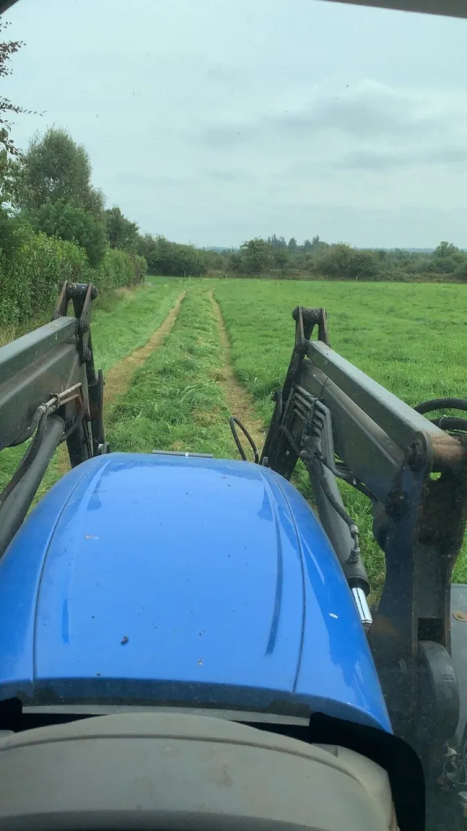 Too quailty second cut silage - Image 2
