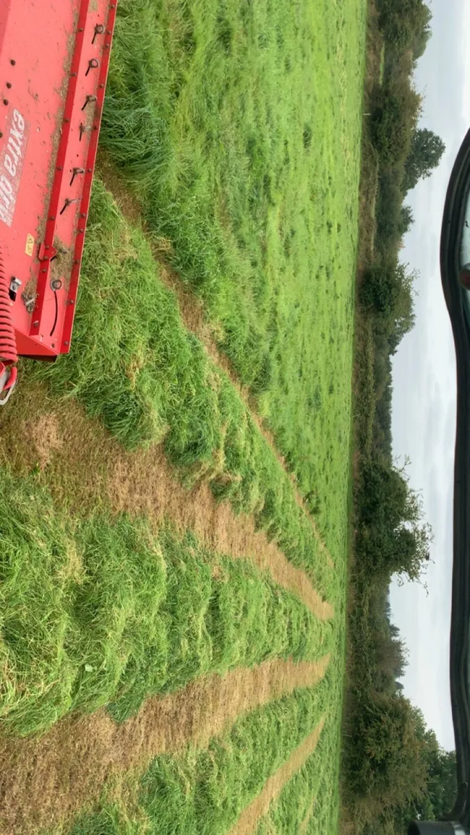 Too quailty second cut silage - Image 4