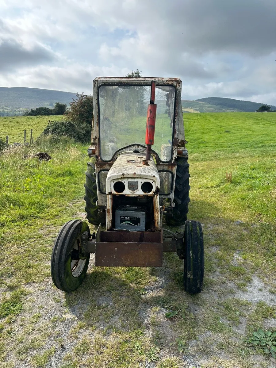 David brown 885 - Image 2