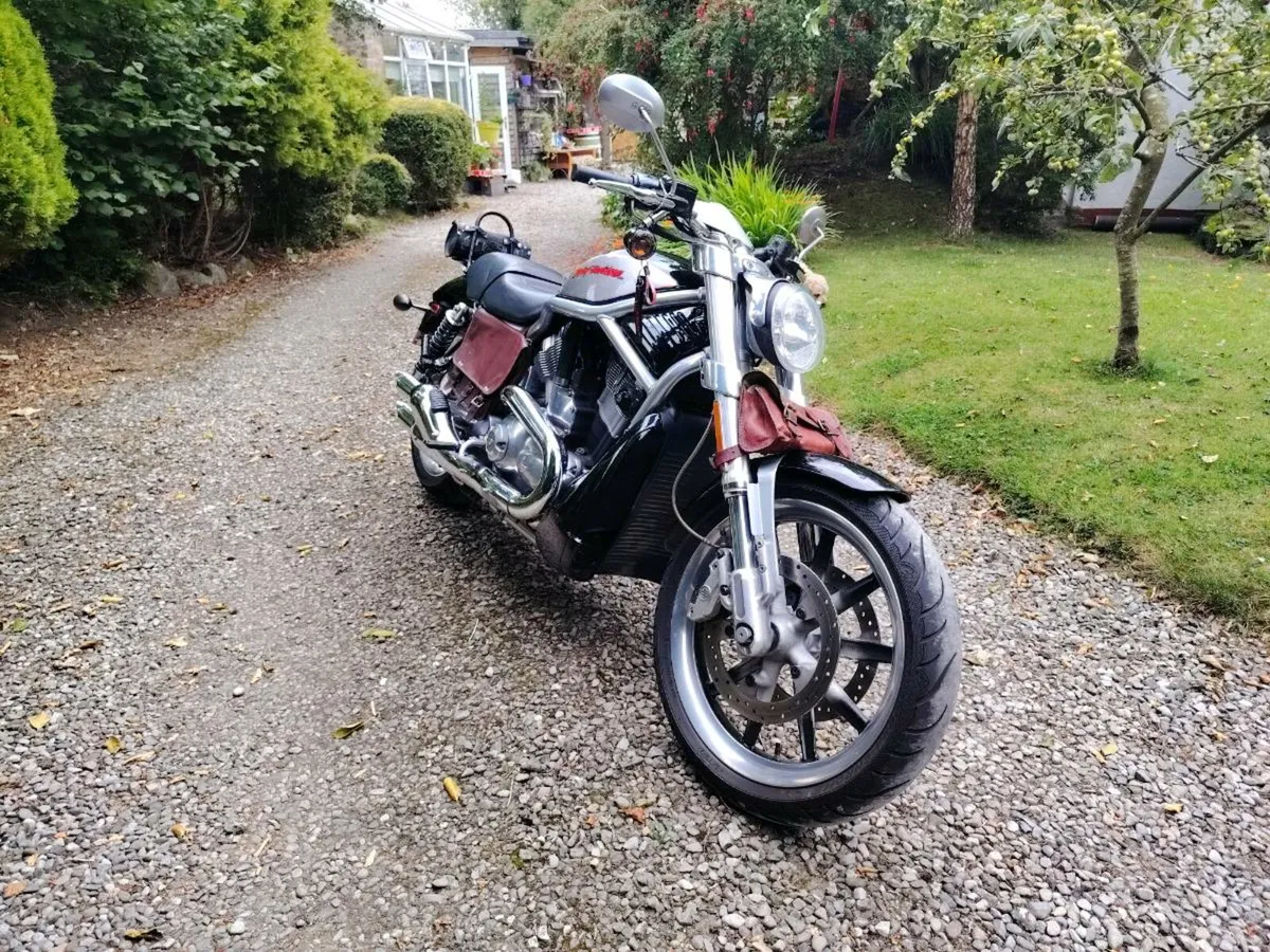 Harley Davidson V Rod Street Rod VRSC-R - Image 2