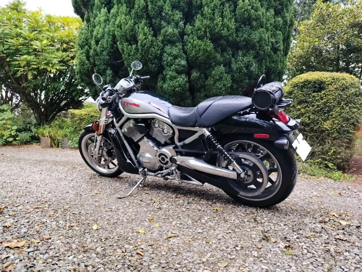Harley Davidson V Rod Street Rod VRSC-R - Image 3