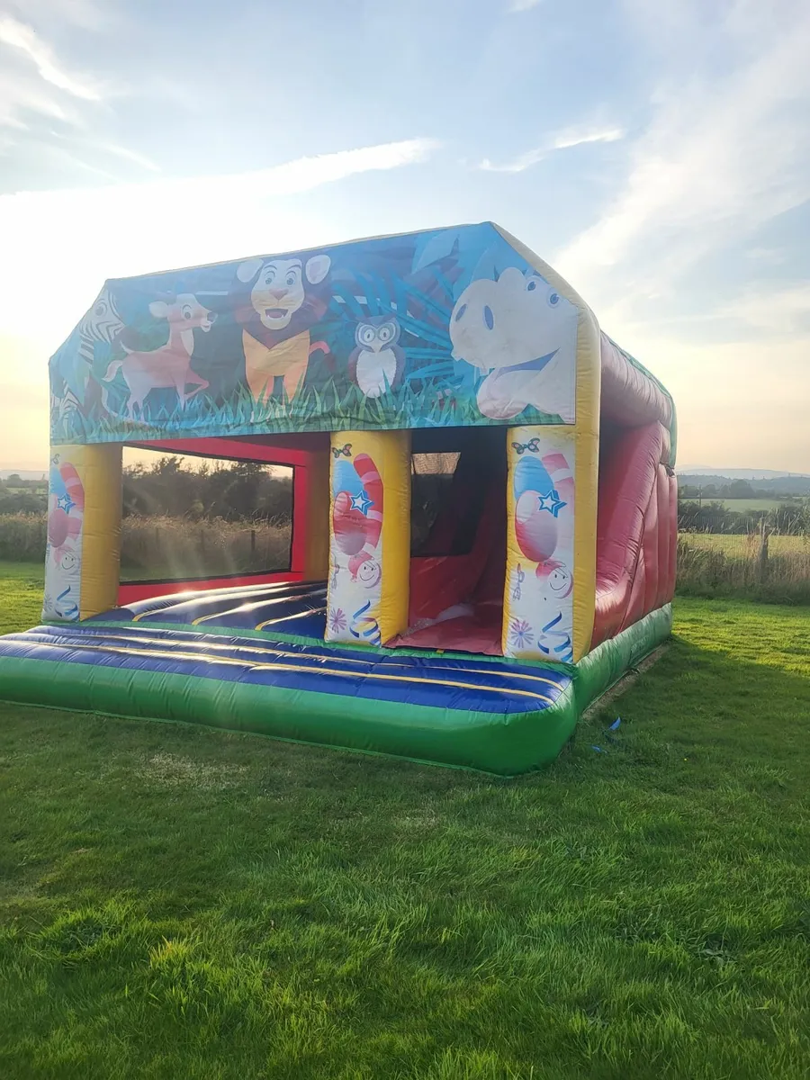 Bouncy castle - Image 4