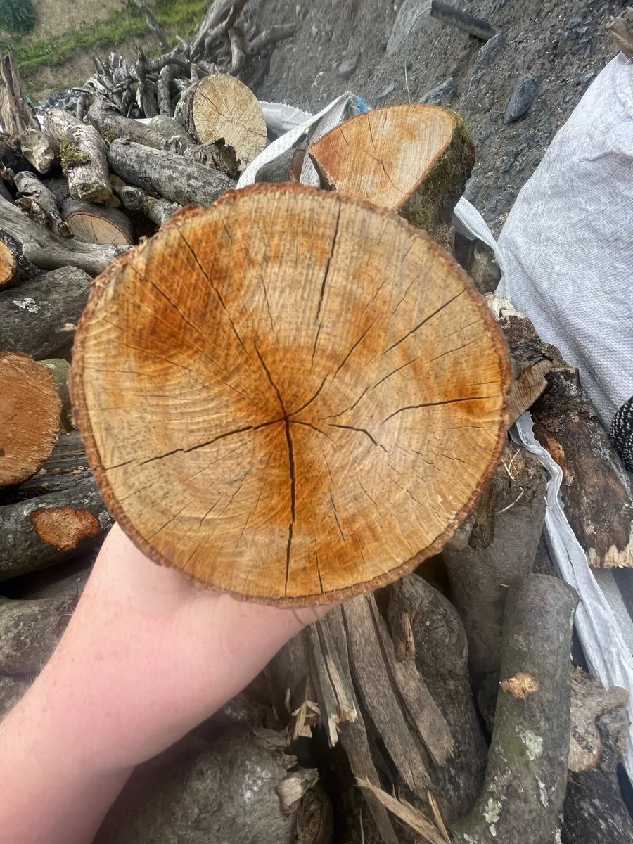Timber for sale - Image 1