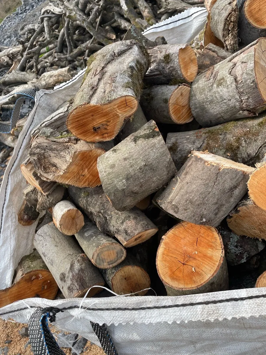 Timber for sale - Image 2