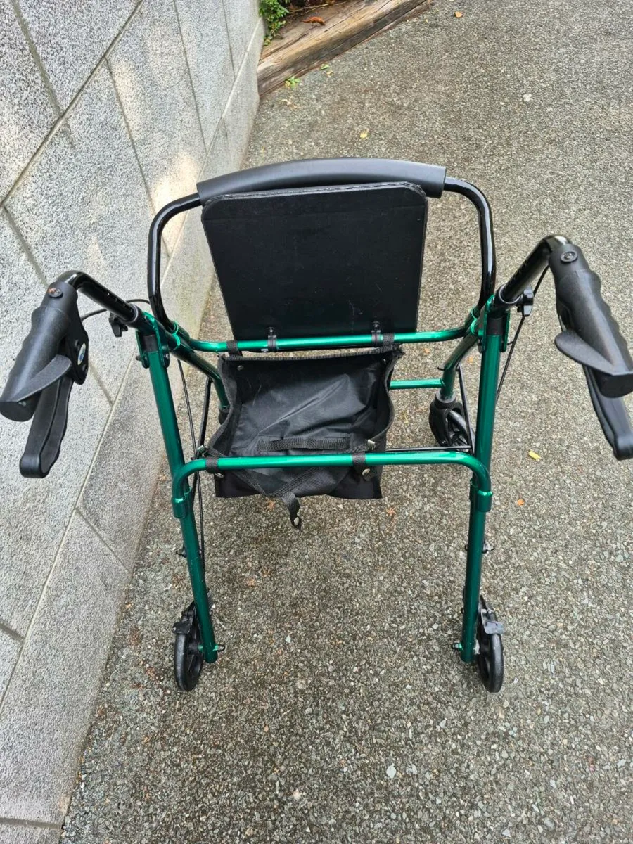 Walker - Image 2