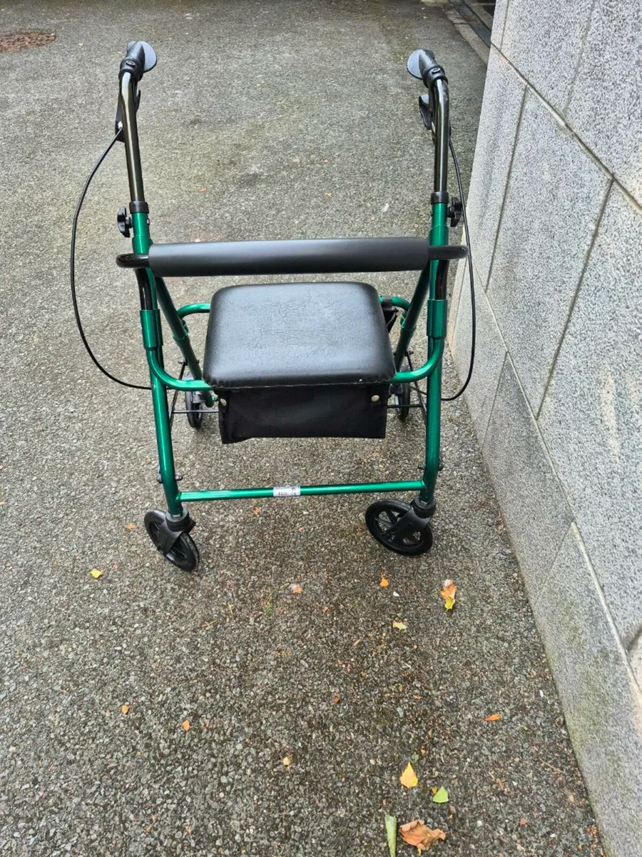 Walker - Image 3