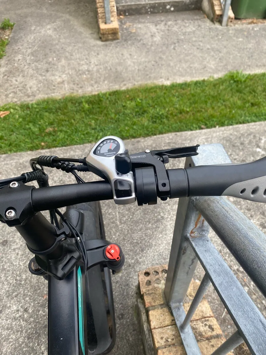Fiido M1 Pro (punctured tire) - Image 3
