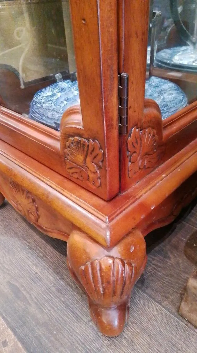Curiousity cabinet - Image 1