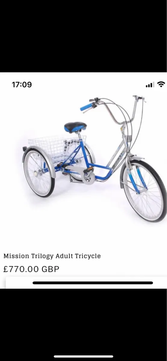 Adult trike - Image 2