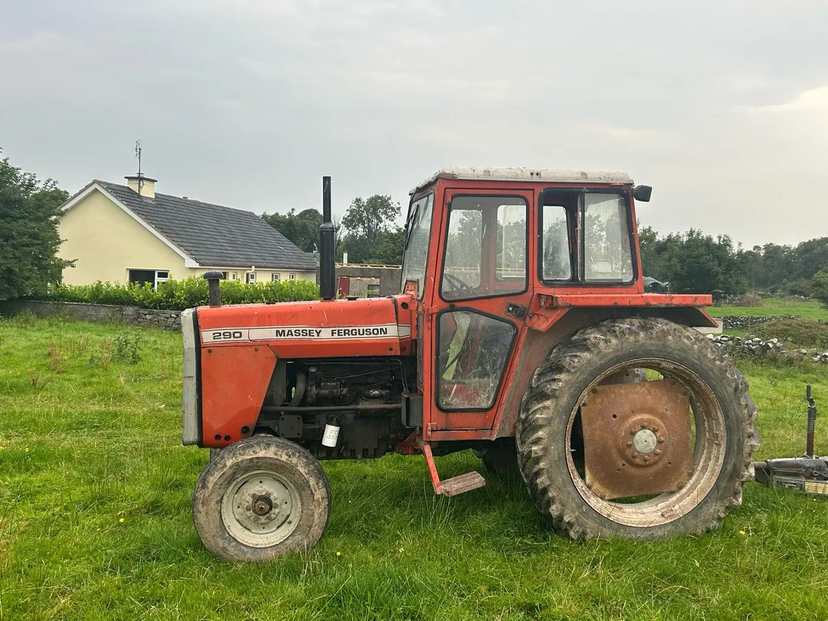 Massey Ferguson 290 - Image 2