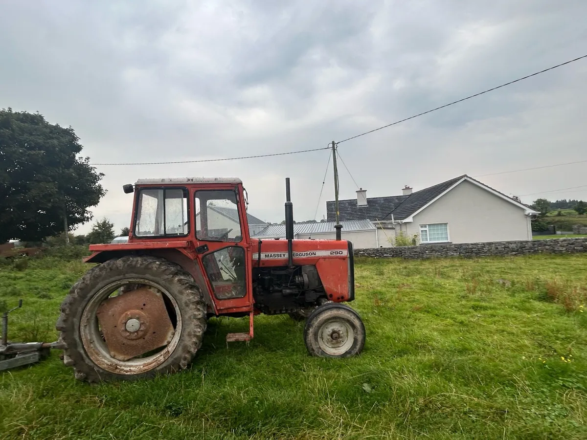 Massey Ferguson 290 - Image 3