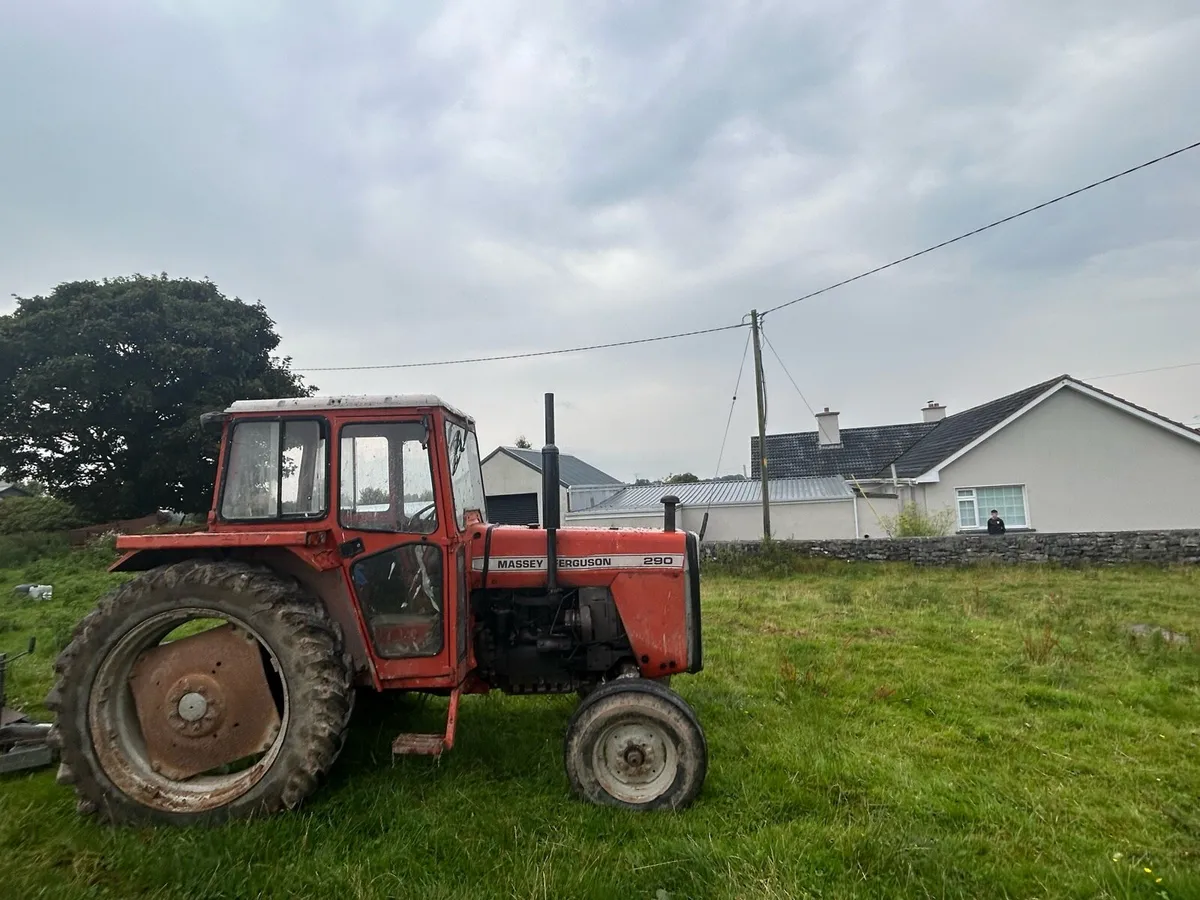 Massey Ferguson 290 - Image 4