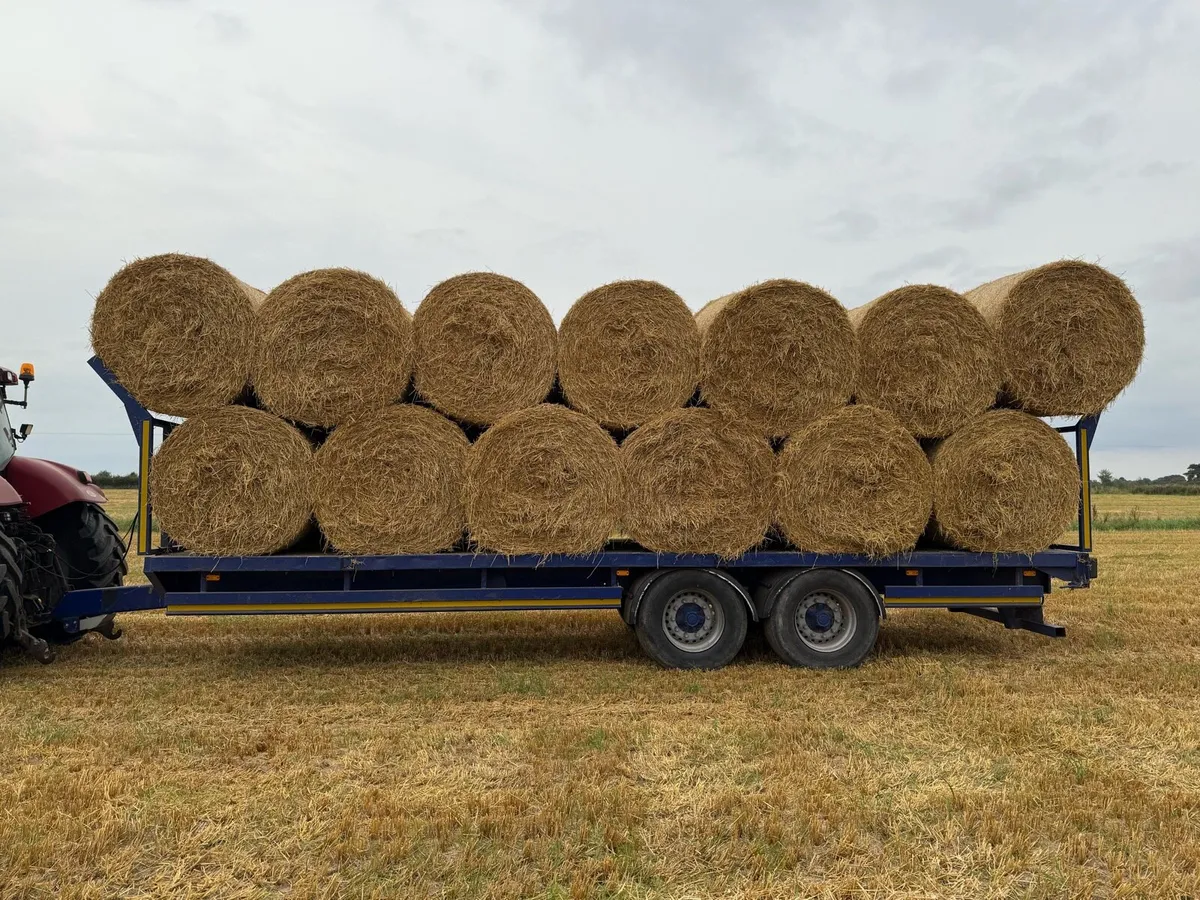 Spring Barley Straw