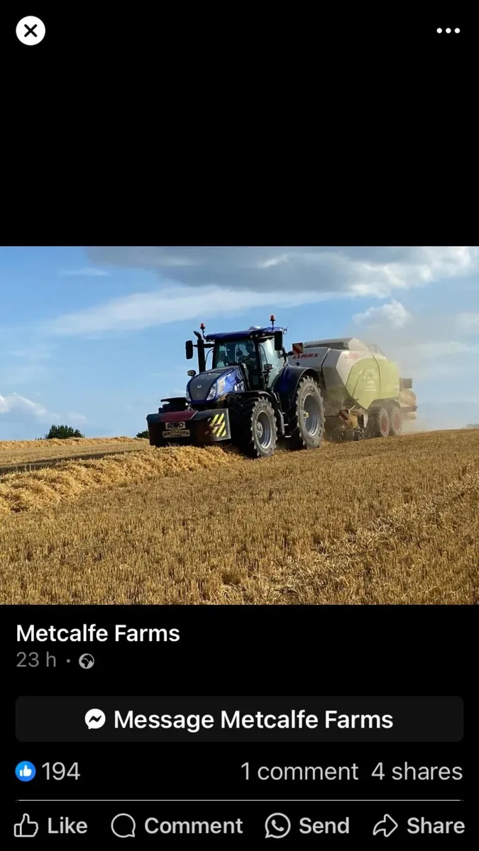 Straw and hay
