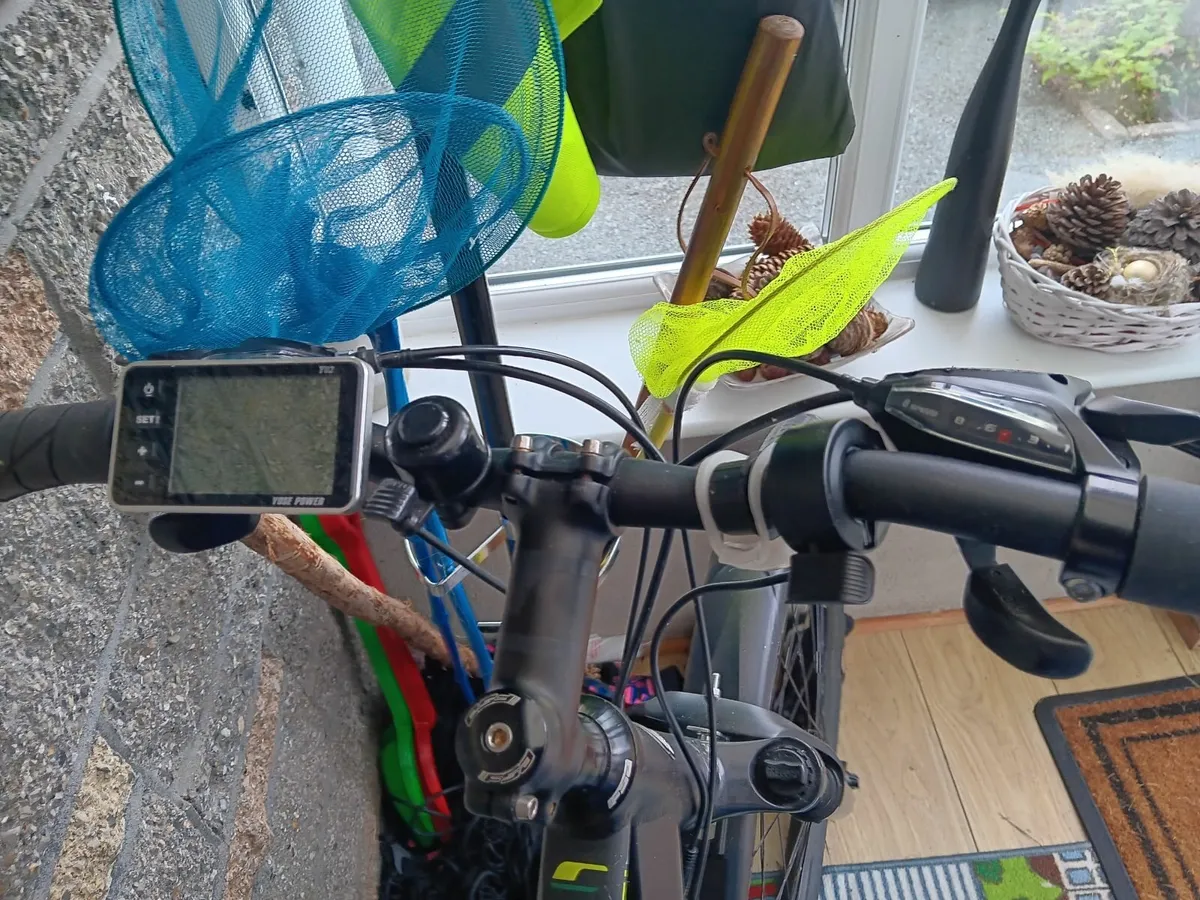 Electric Bike - Image 4