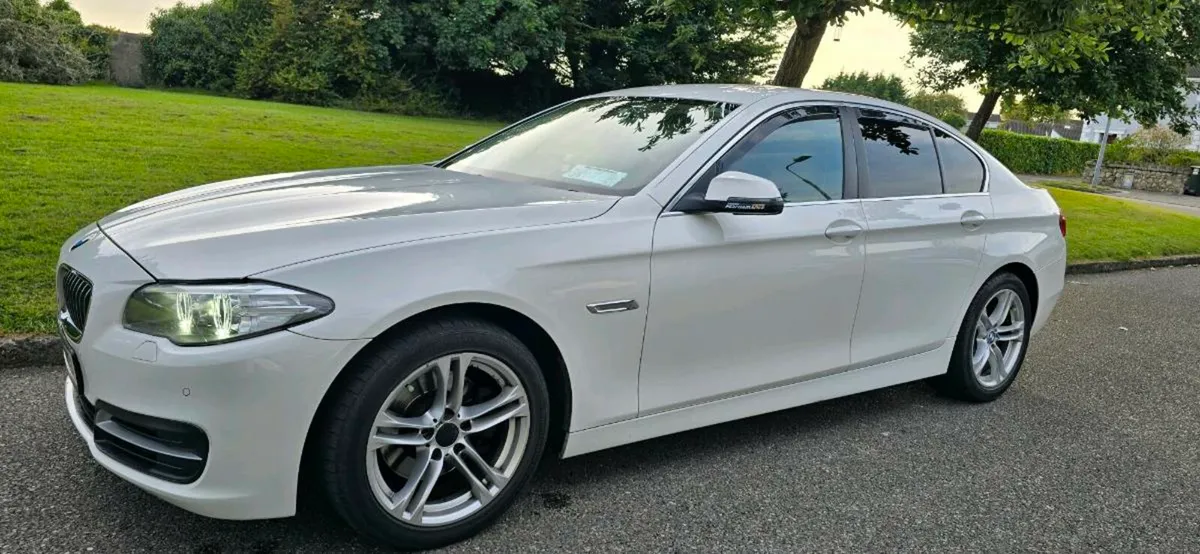 BMW 518 - Image 1