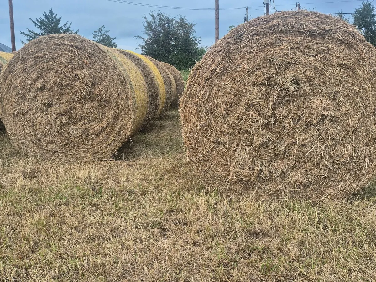 Round and square bales of Hay