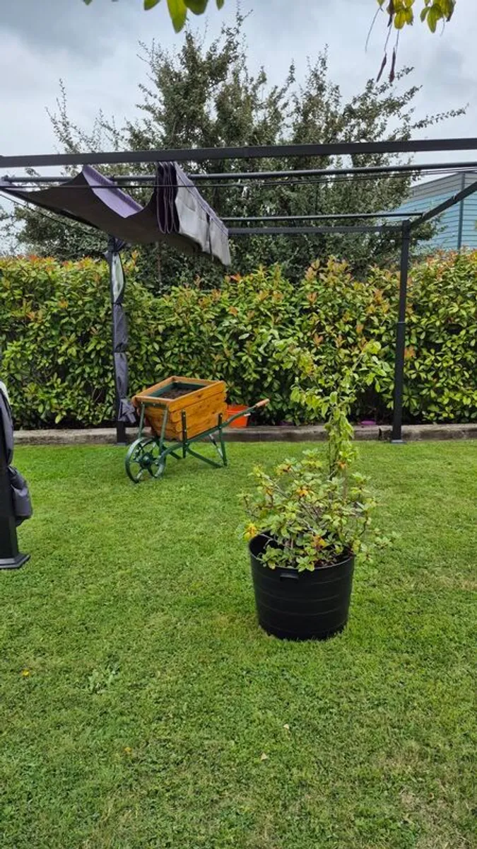 Gazbo 3Mx3M - Image 4