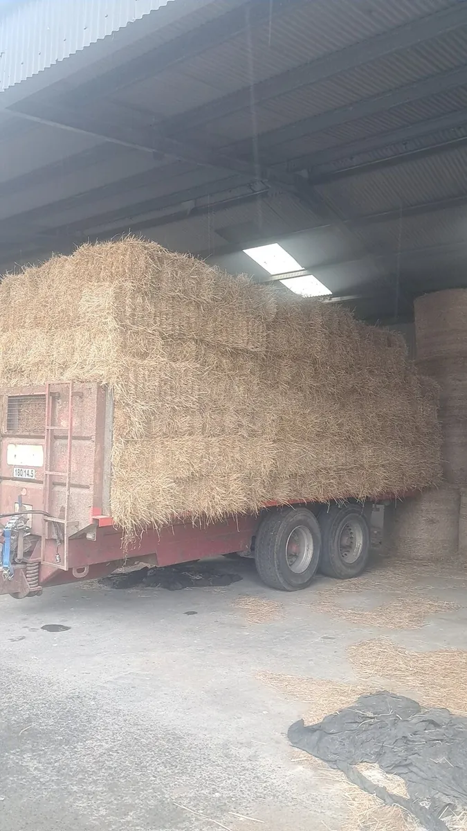 Small square bales of straw - Image 2
