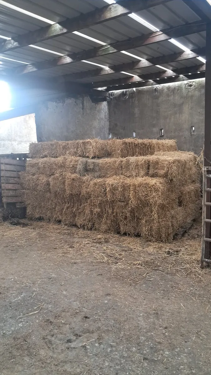 Small square bales of straw - Image 3