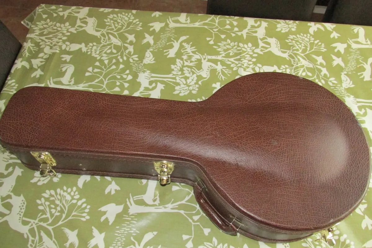 Banjo, Harley Benton, 17 fret - Image 4