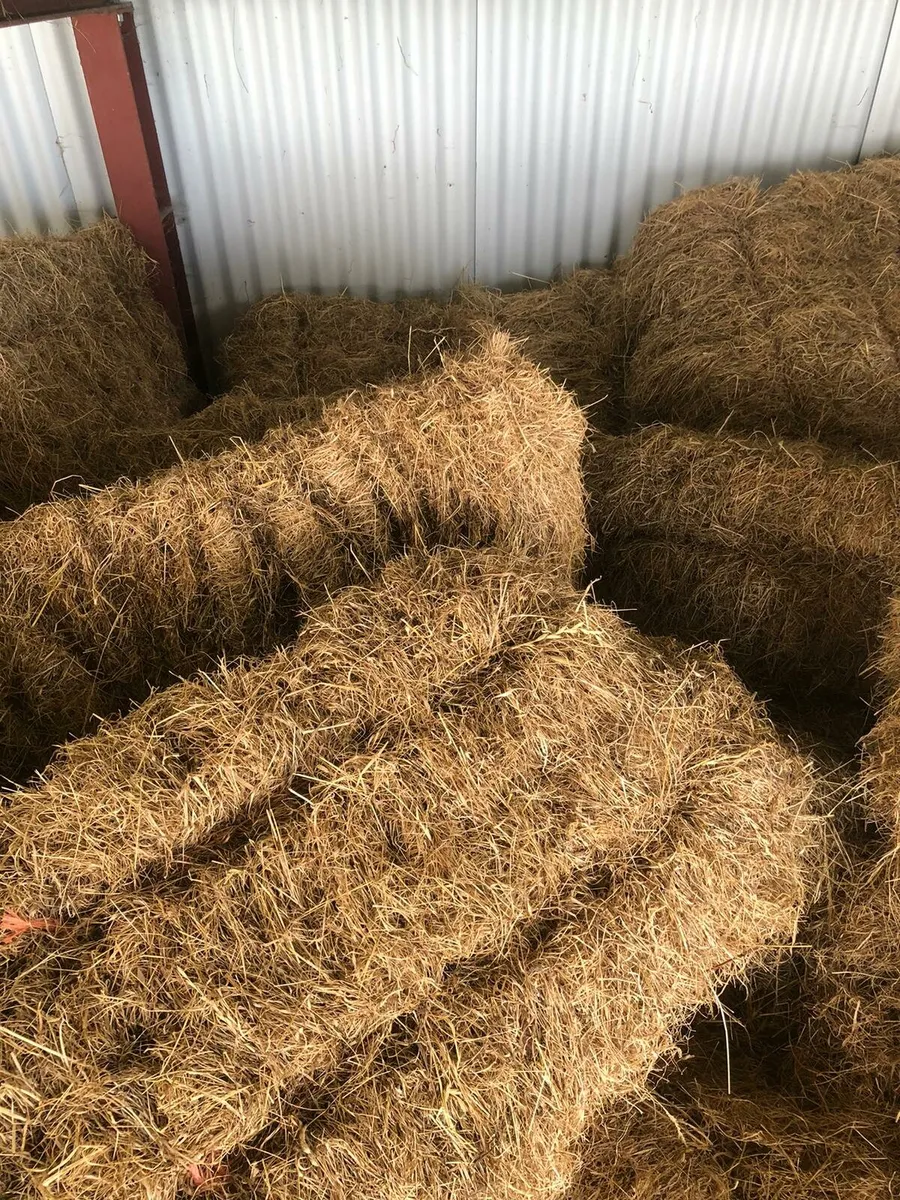 Square bales