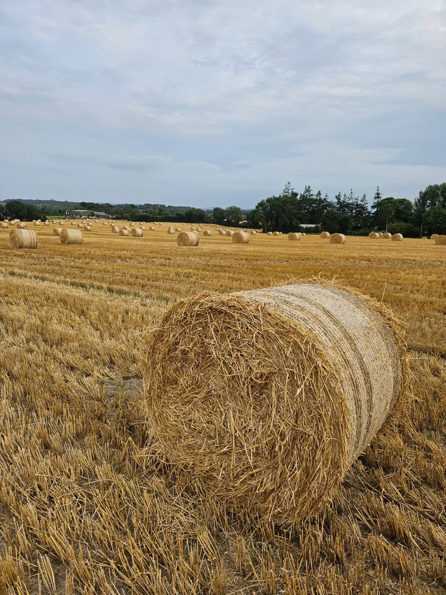 4x4 barely straw