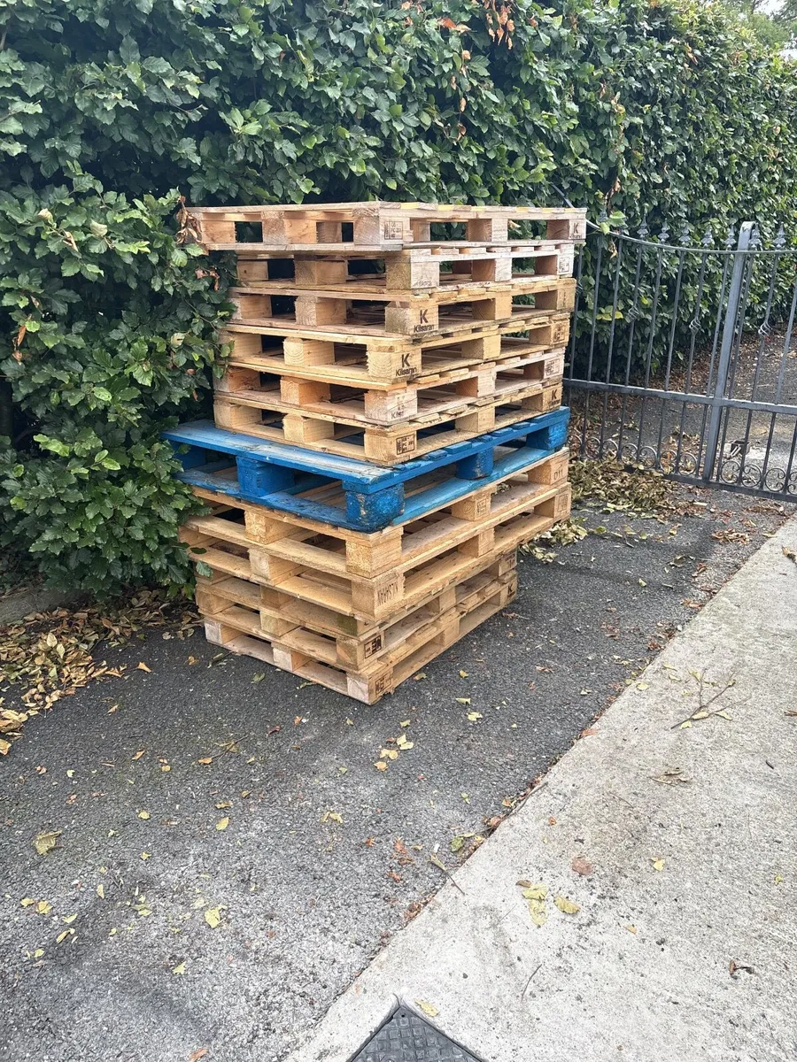 Pallets free to take