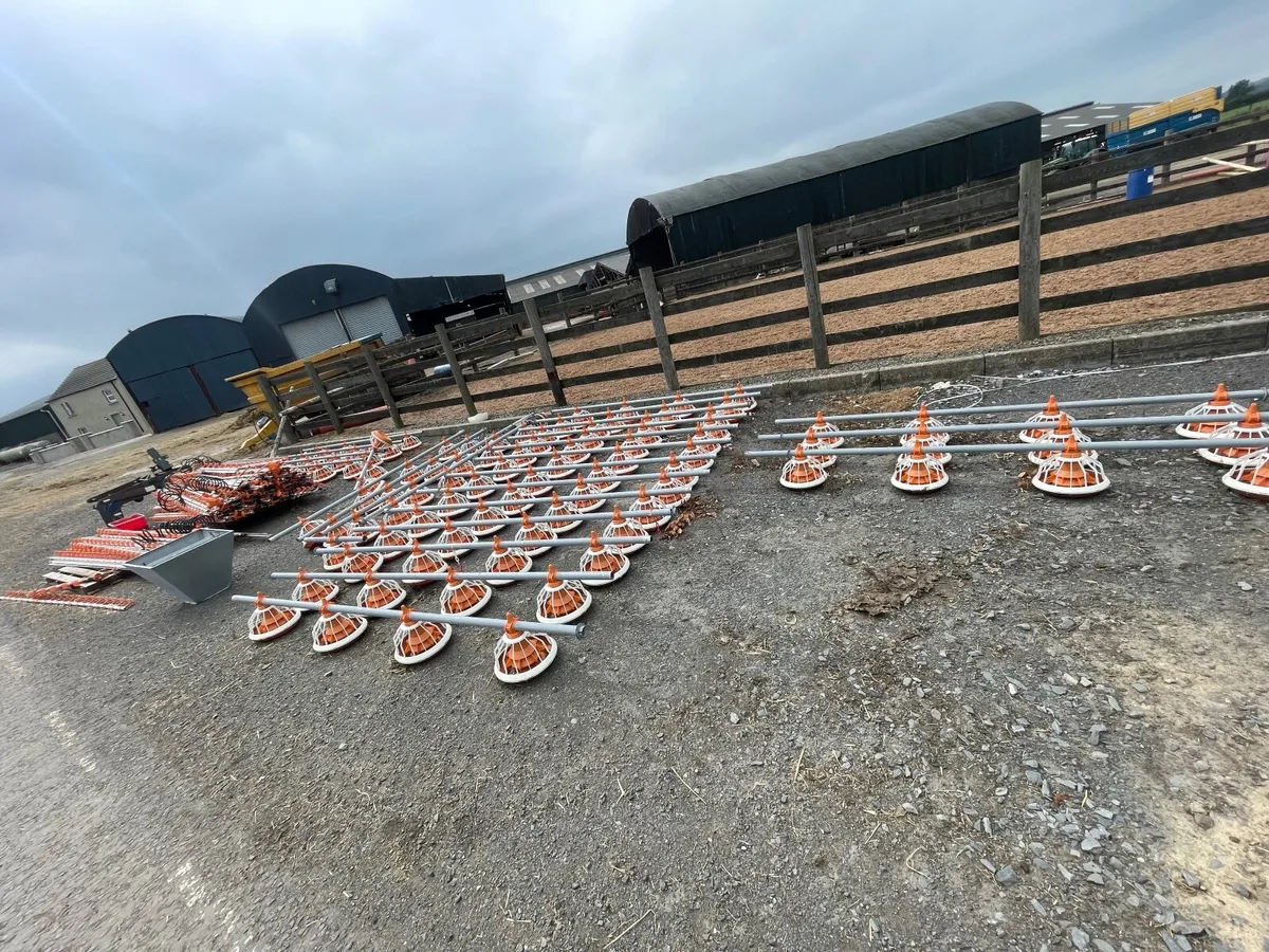 broiler house drinkers and feeders