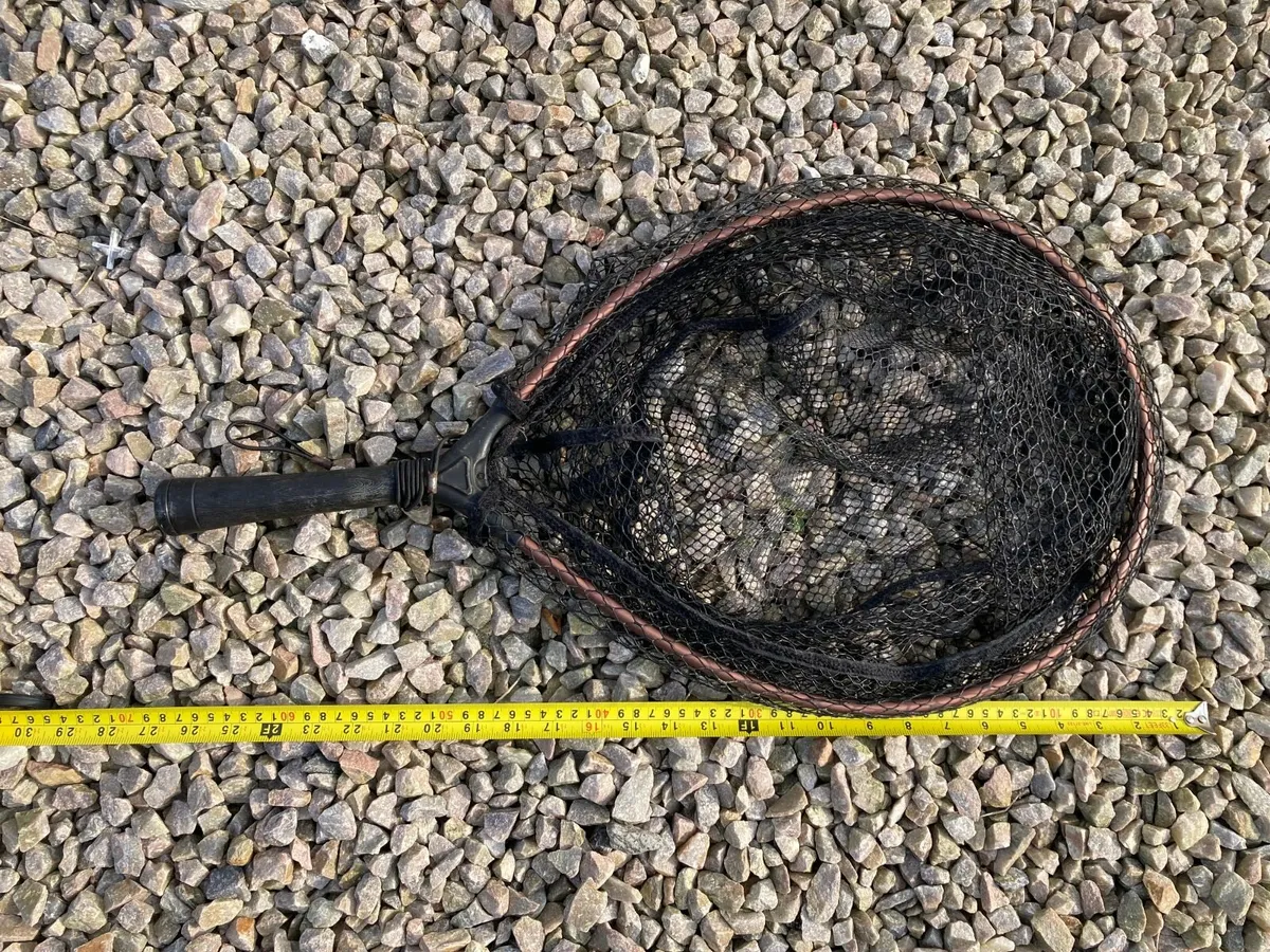 GREYS mesh net with rubber coating - Image 2
