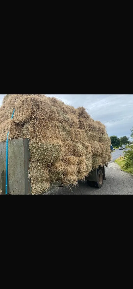 Hay and Straw - Image 1