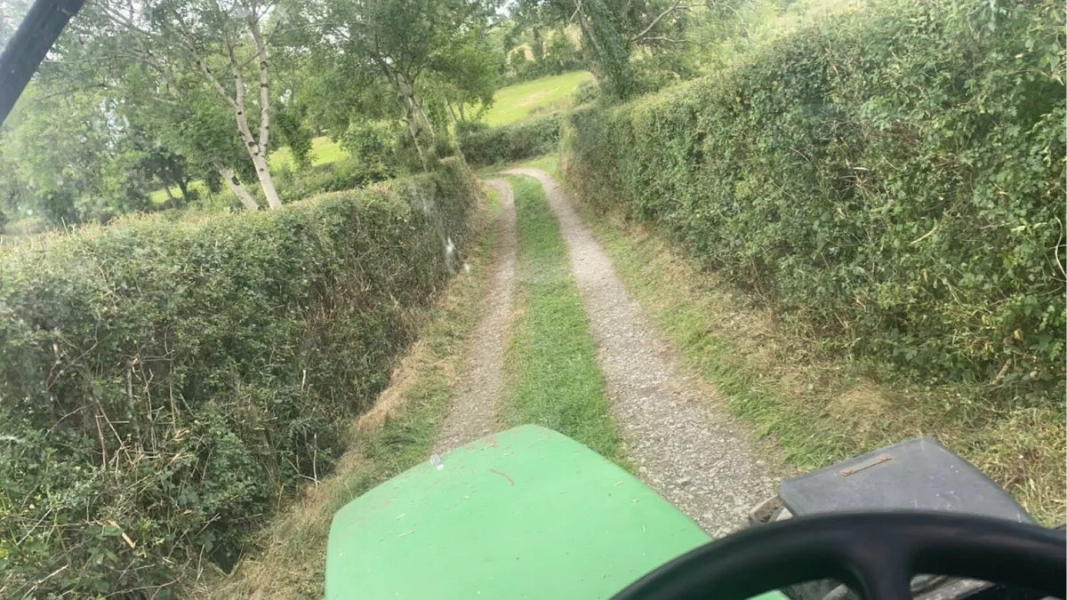 Hedgecutting - Image 1