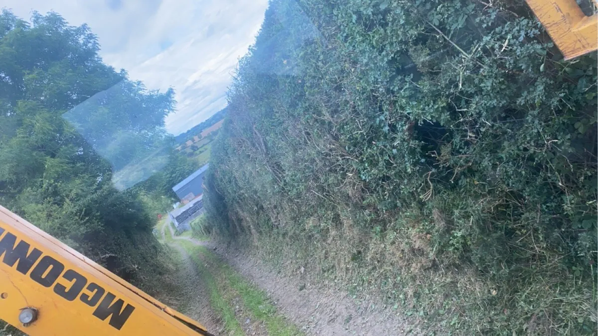 Hedgecutting - Image 2