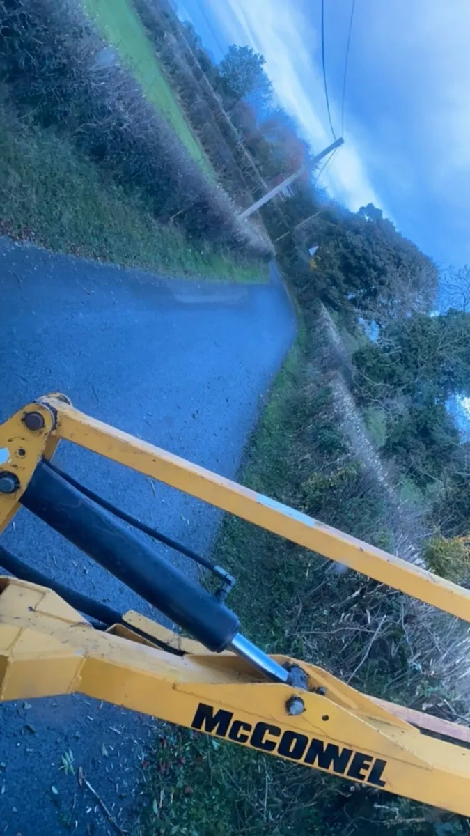 Hedgecutting - Image 3