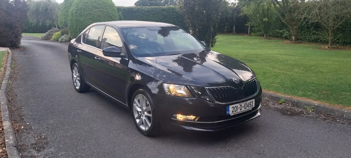 2020 Skoda Octavia 1.6 Tdi 115Bhp Style - Image 2