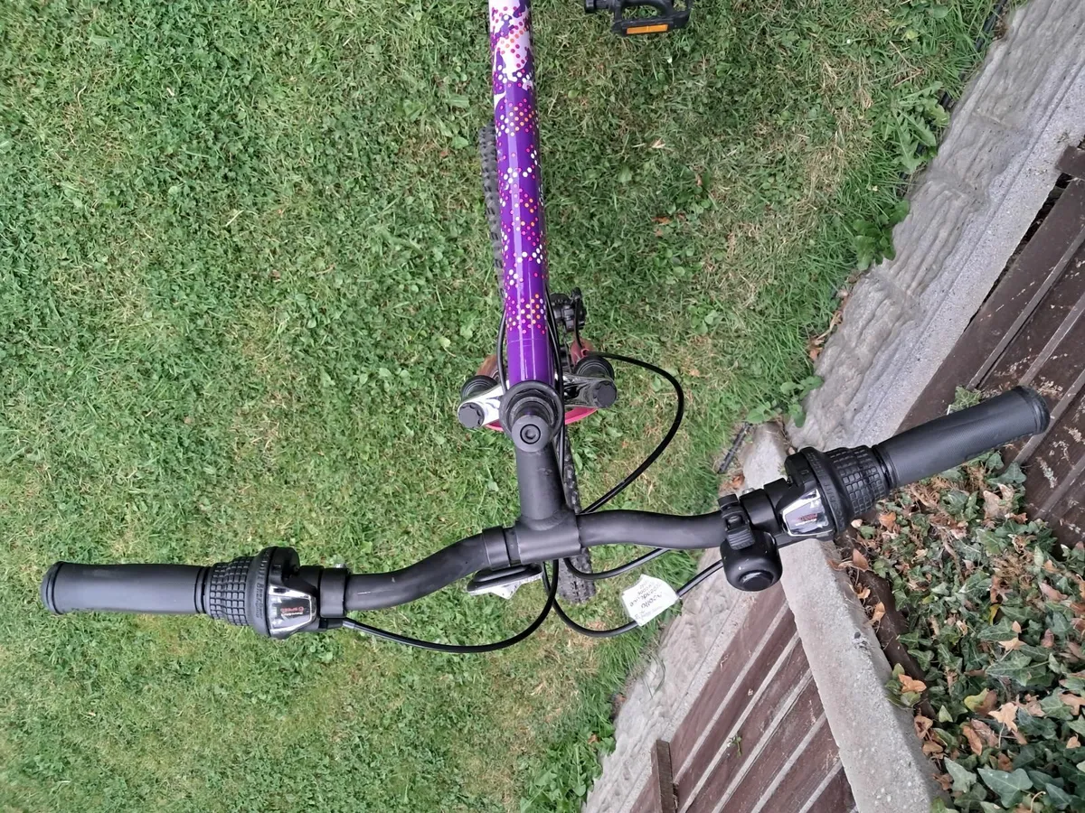 Girls bicycle - Image 3