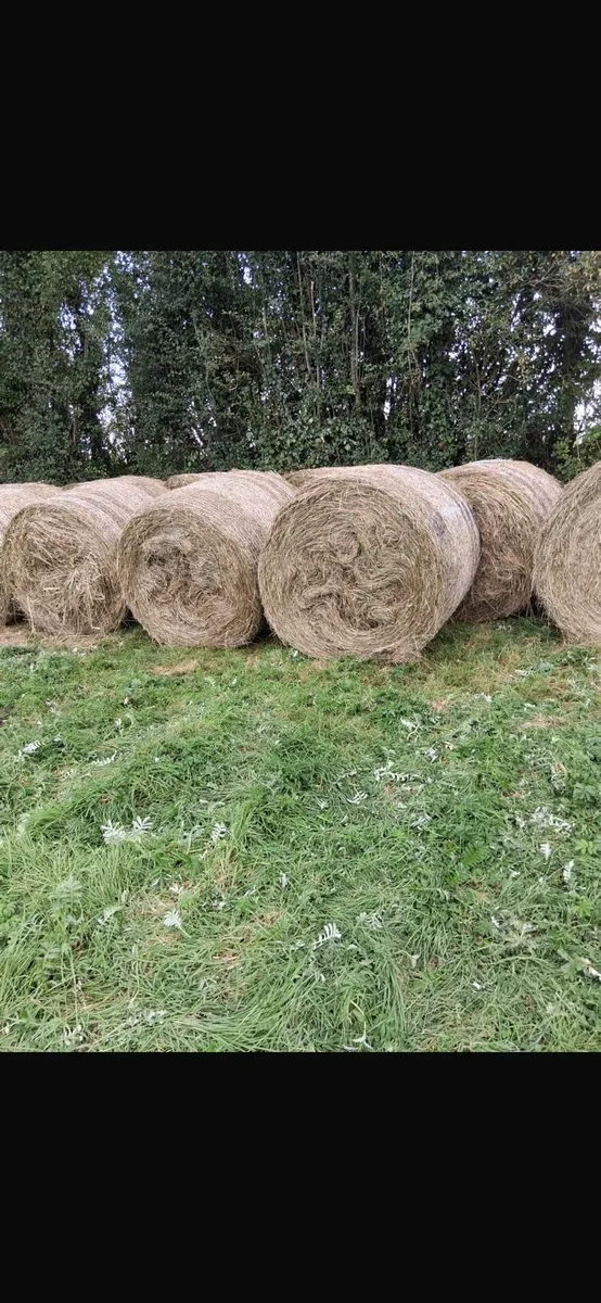 Bales - Image 2