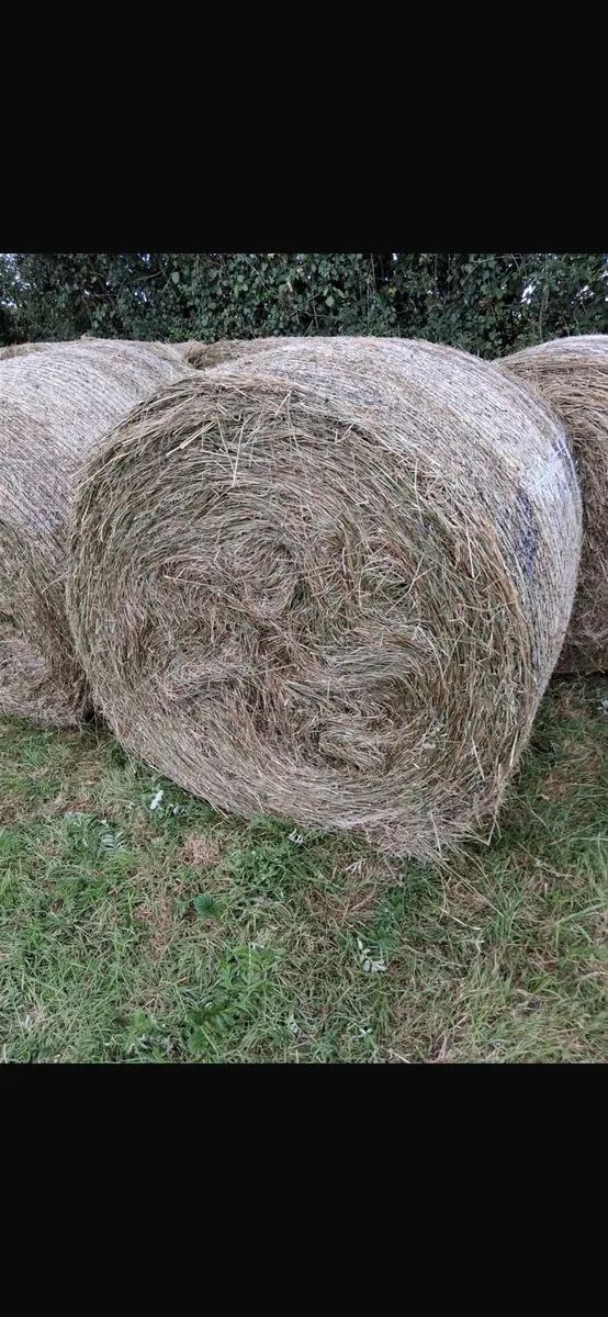 Bales - Image 3