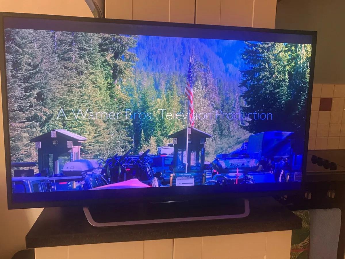 Sony Bravia - Image 3