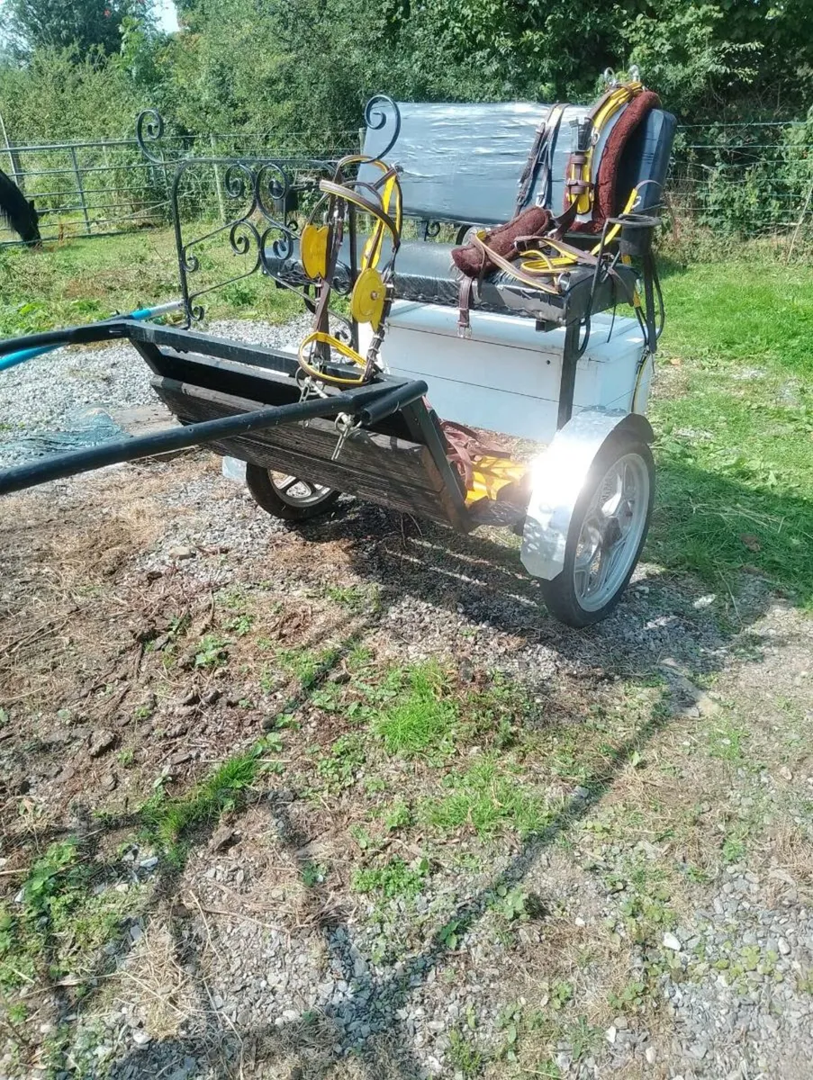 Pony's Road cart& Harness - Image 1