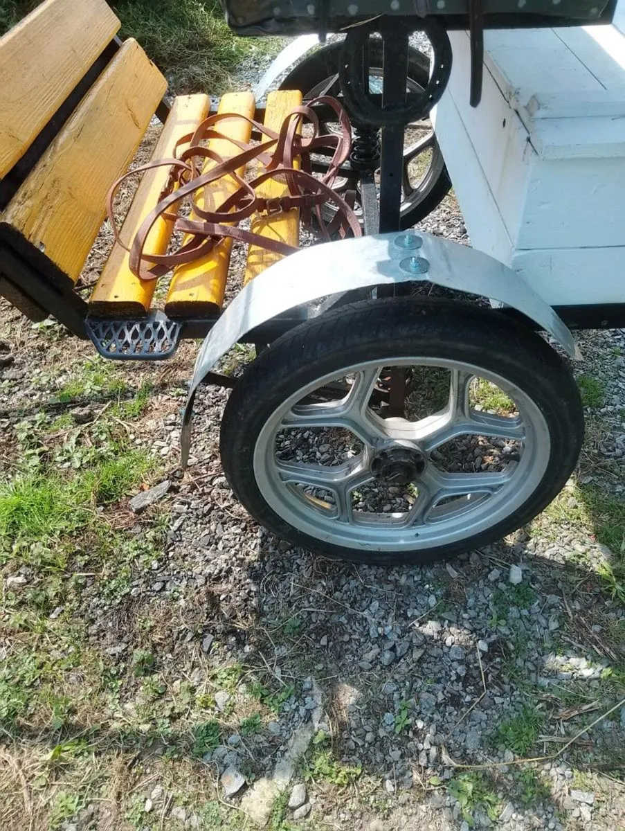 Pony's Road cart& Harness - Image 2